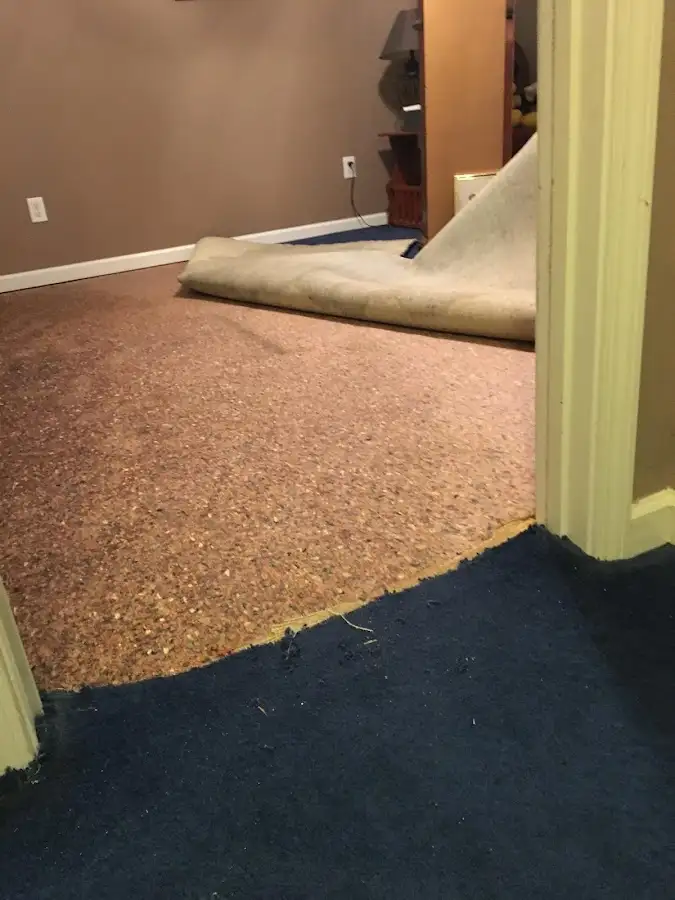 Carpet pad removal revealing water damage during Drying & Dehumidification in Lake Monticello