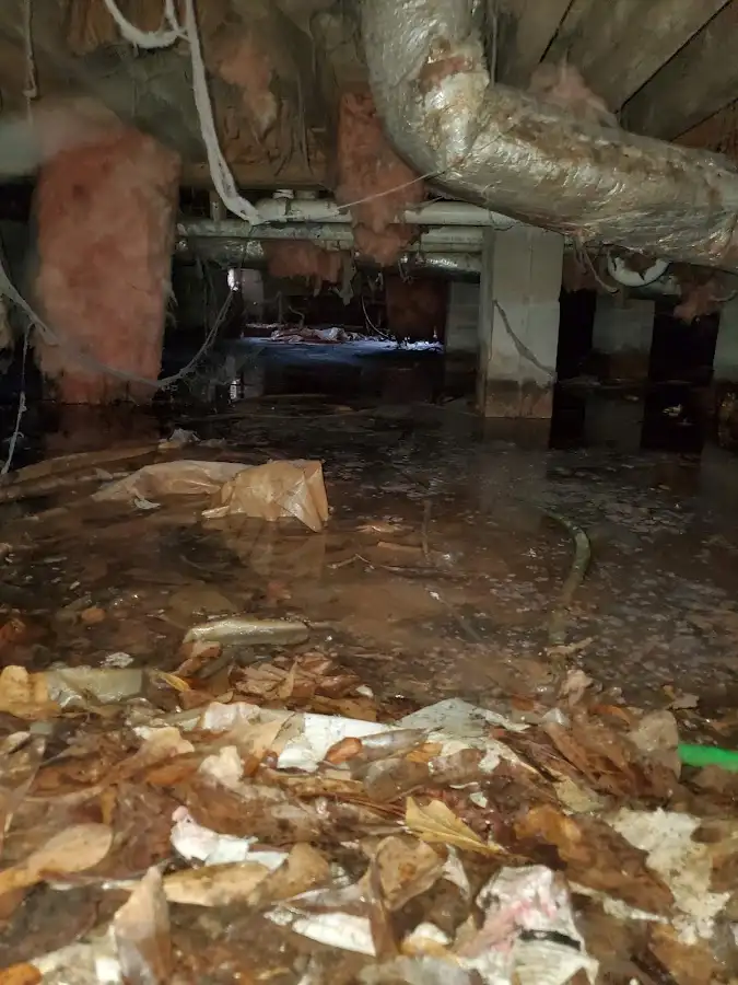 Crawl space flood assessment for Leak Detection & Repair in Lake Monticello