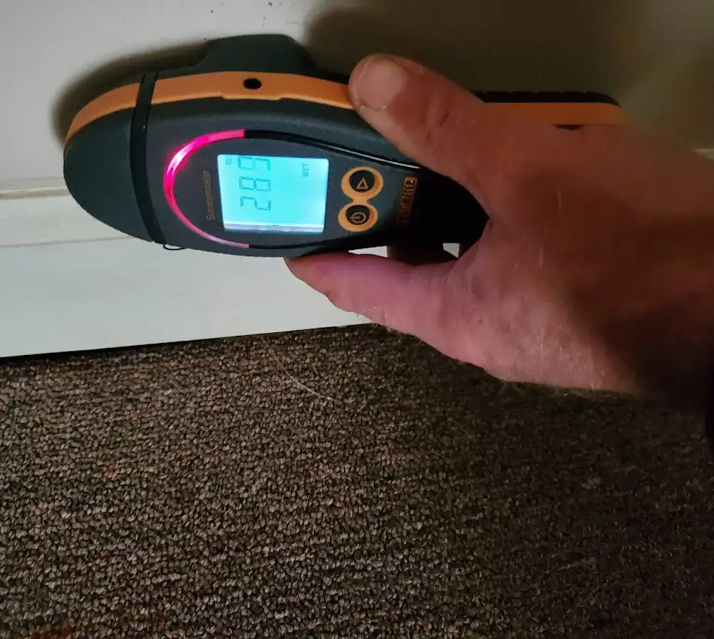 Moisture detection at baseboard during Mold Inspection & Testing in Lake Monticello